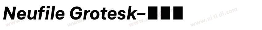 Neufile Grotesk字体转换